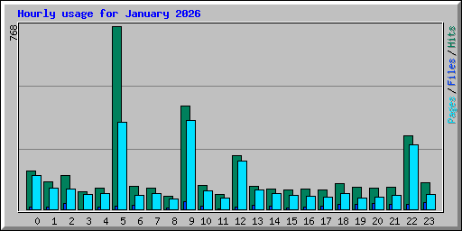 Hourly usage for January 2026