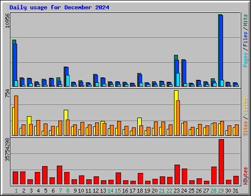 Daily usage for December 2024