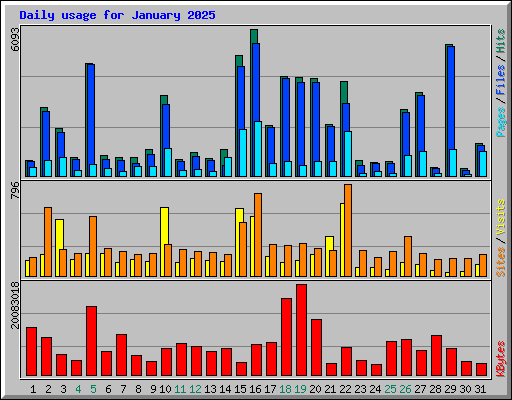Daily usage for January 2025