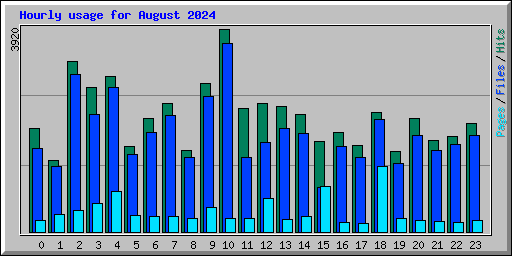 Hourly usage for August 2024