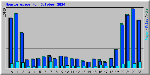 Hourly usage for October 2024
