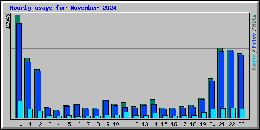 Hourly usage for November 2024