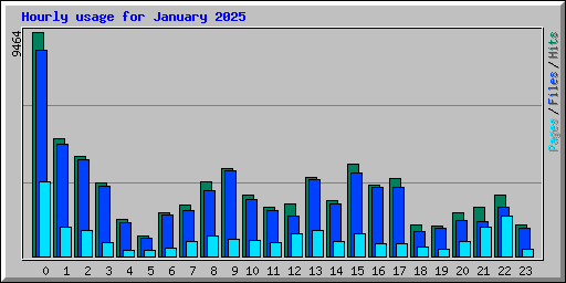 Hourly usage for January 2025