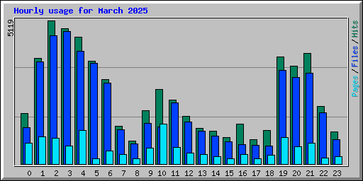Hourly usage for March 2025