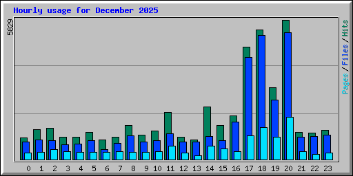Hourly usage for December 2025