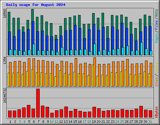 Daily usage for August 2024