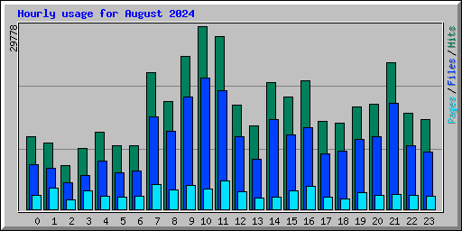 Hourly usage for August 2024