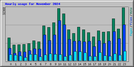 Hourly usage for November 2024