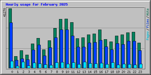Hourly usage for February 2025