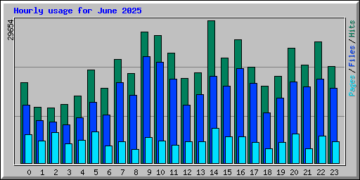 Hourly usage for June 2025