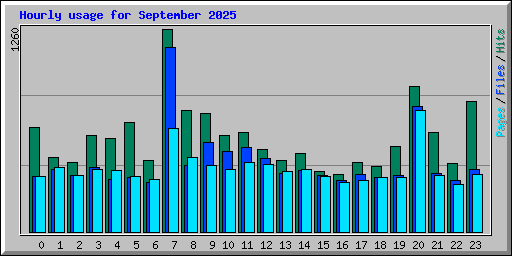 Hourly usage for September 2025