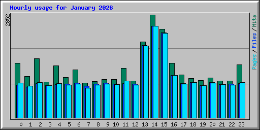 Hourly usage for January 2026