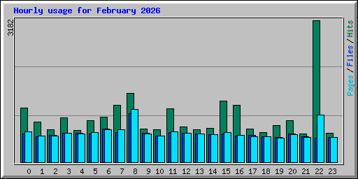 Hourly usage for February 2026
