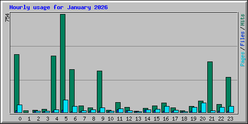 Hourly usage for January 2026