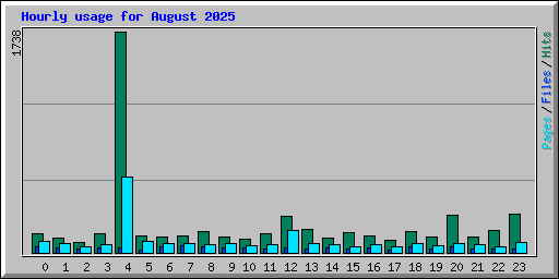 Hourly usage for August 2025