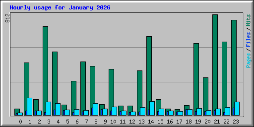 Hourly usage for January 2026