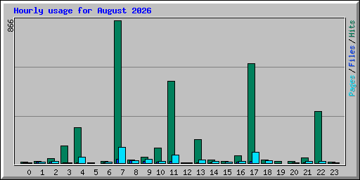 Hourly usage for August 2026