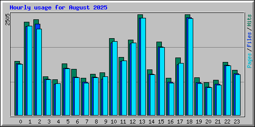 Hourly usage for August 2025