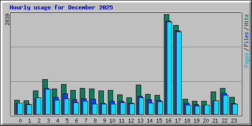 Hourly usage for December 2025