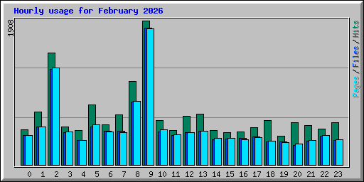 Hourly usage for February 2026
