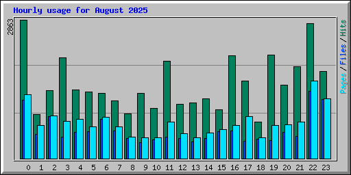 Hourly usage for August 2025