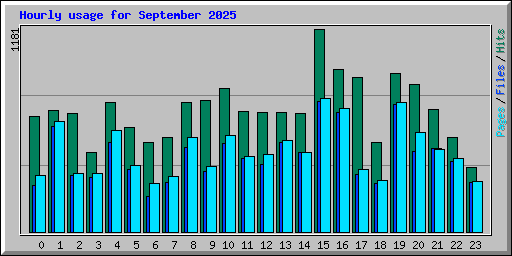 Hourly usage for September 2025