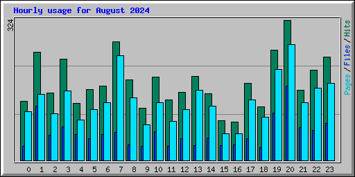 Hourly usage for August 2024