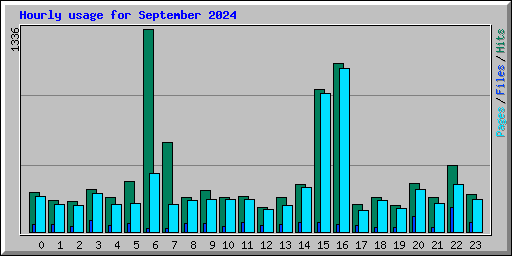 Hourly usage for September 2024