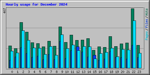 Hourly usage for December 2024