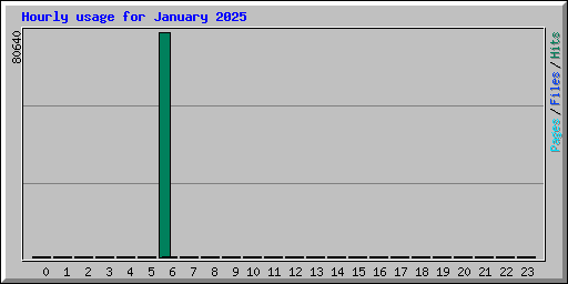 Hourly usage for January 2025