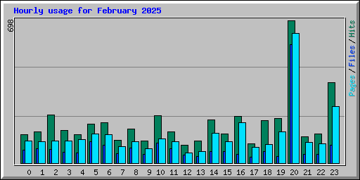 Hourly usage for February 2025