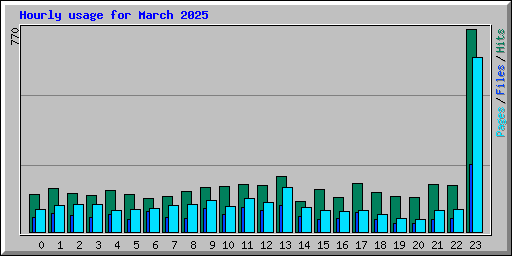 Hourly usage for March 2025