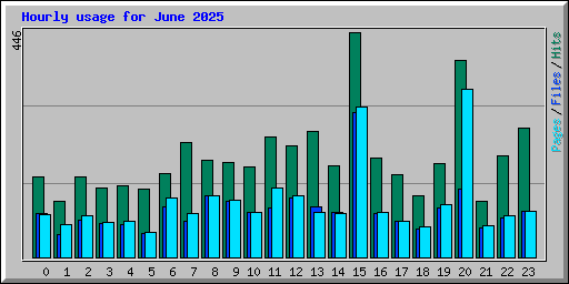 Hourly usage for June 2025