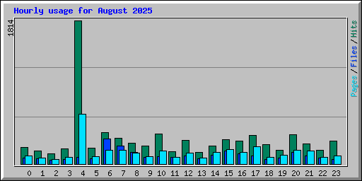 Hourly usage for August 2025