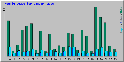 Hourly usage for January 2026