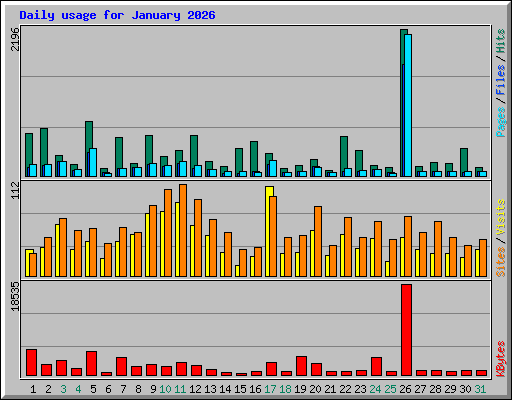 Daily usage for January 2026