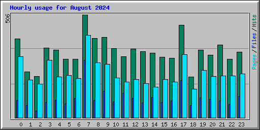 Hourly usage for August 2024