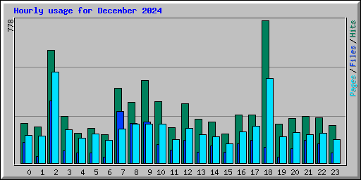 Hourly usage for December 2024