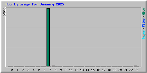 Hourly usage for January 2025