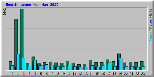 Hourly usage for May 2025