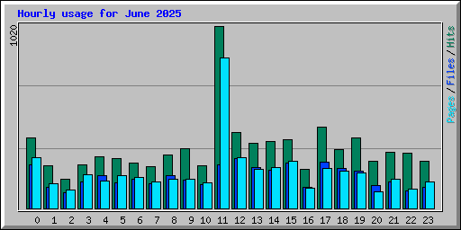 Hourly usage for June 2025