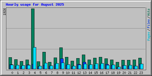 Hourly usage for August 2025