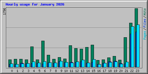 Hourly usage for January 2026
