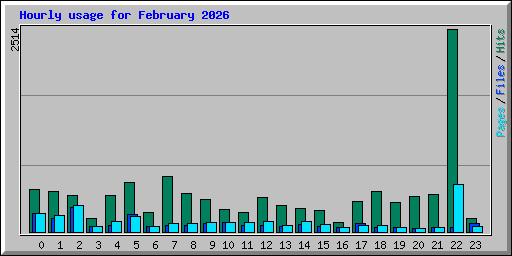 Hourly usage for February 2026