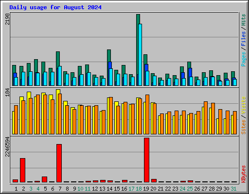 Daily usage for August 2024