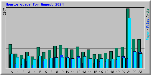 Hourly usage for August 2024