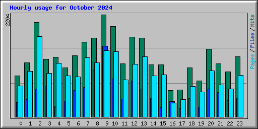 Hourly usage for October 2024