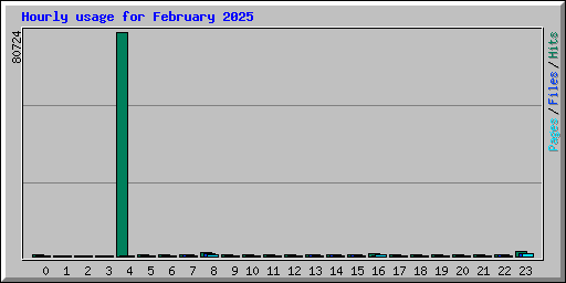Hourly usage for February 2025