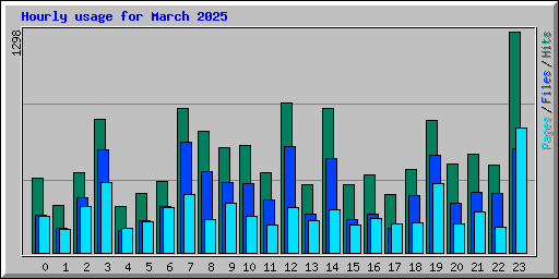 Hourly usage for March 2025