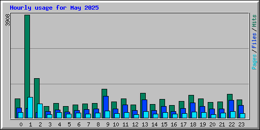 Hourly usage for May 2025